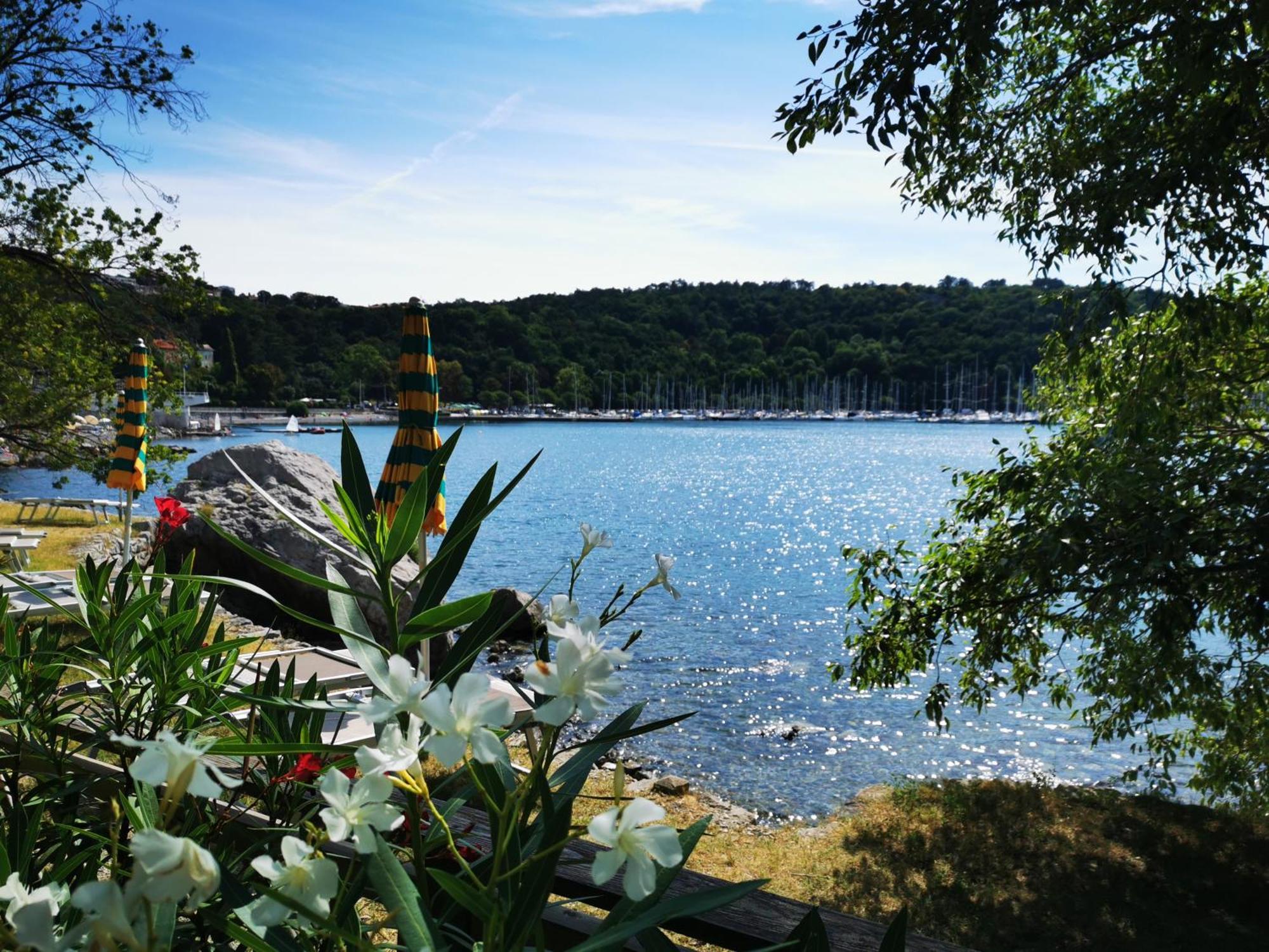 Krasen Kras 104 Resort Komen Exteriör bild